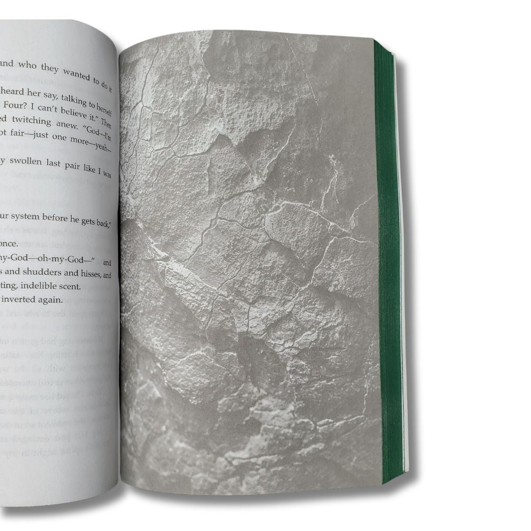 Guarded by the Spider (Signed Paperback)