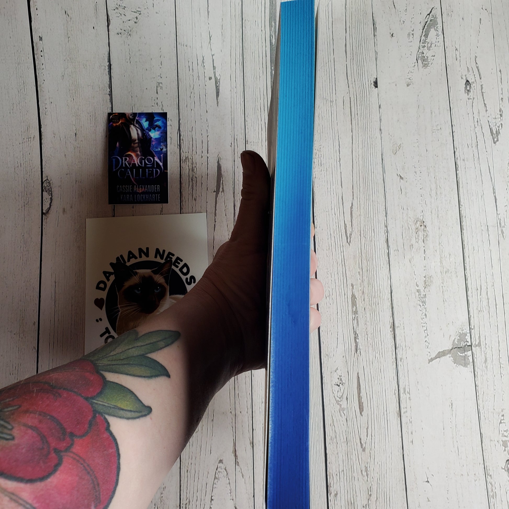 Dragon Called: Prince of the Other Worlds - Book 1 (Paperback)