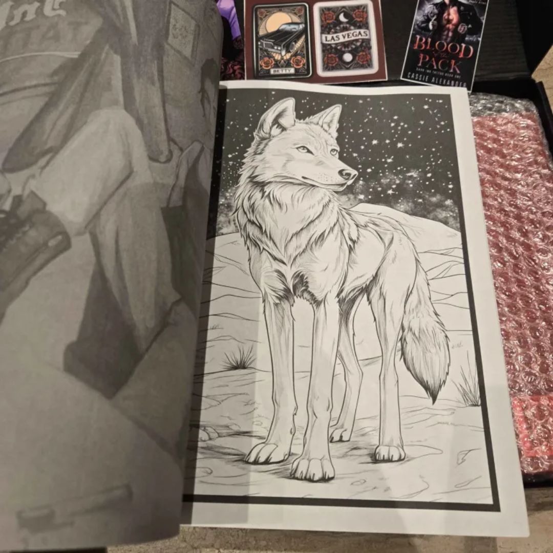 Dark Ink Tattoo Tarot Box Bundle