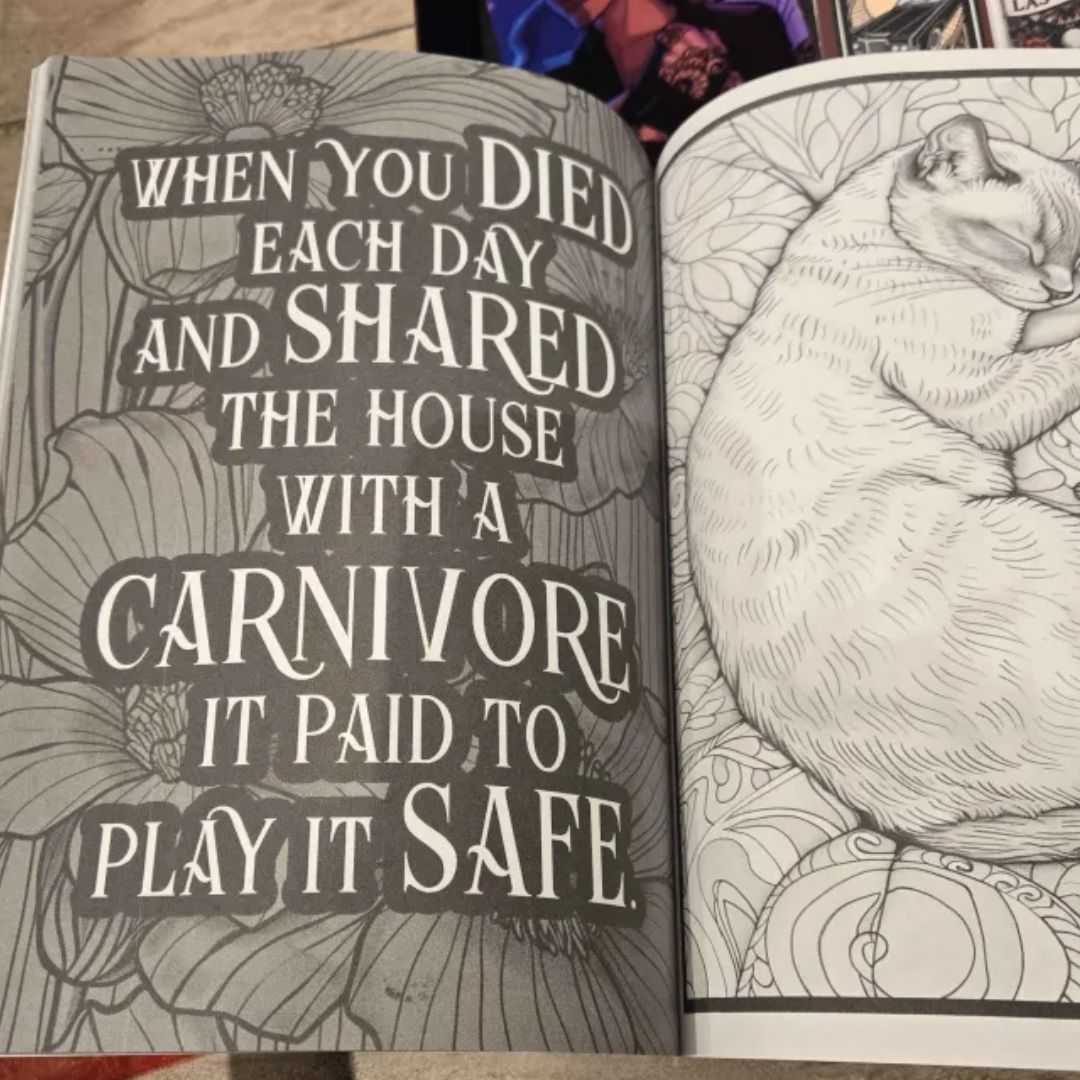 Dark Ink Tattoo Tarot Box Bundle