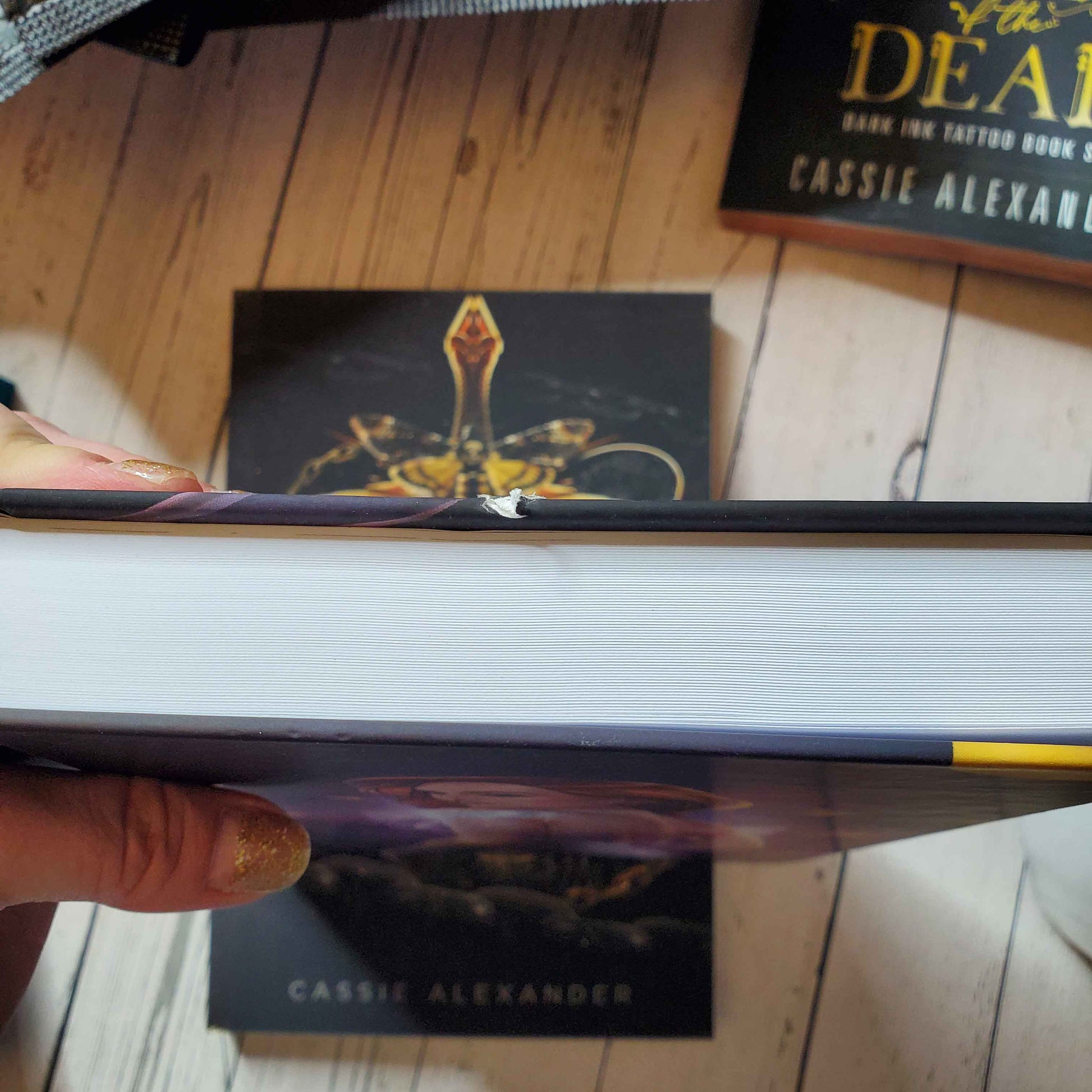 Blind Date with a Monster Book (Scratch & Dent)