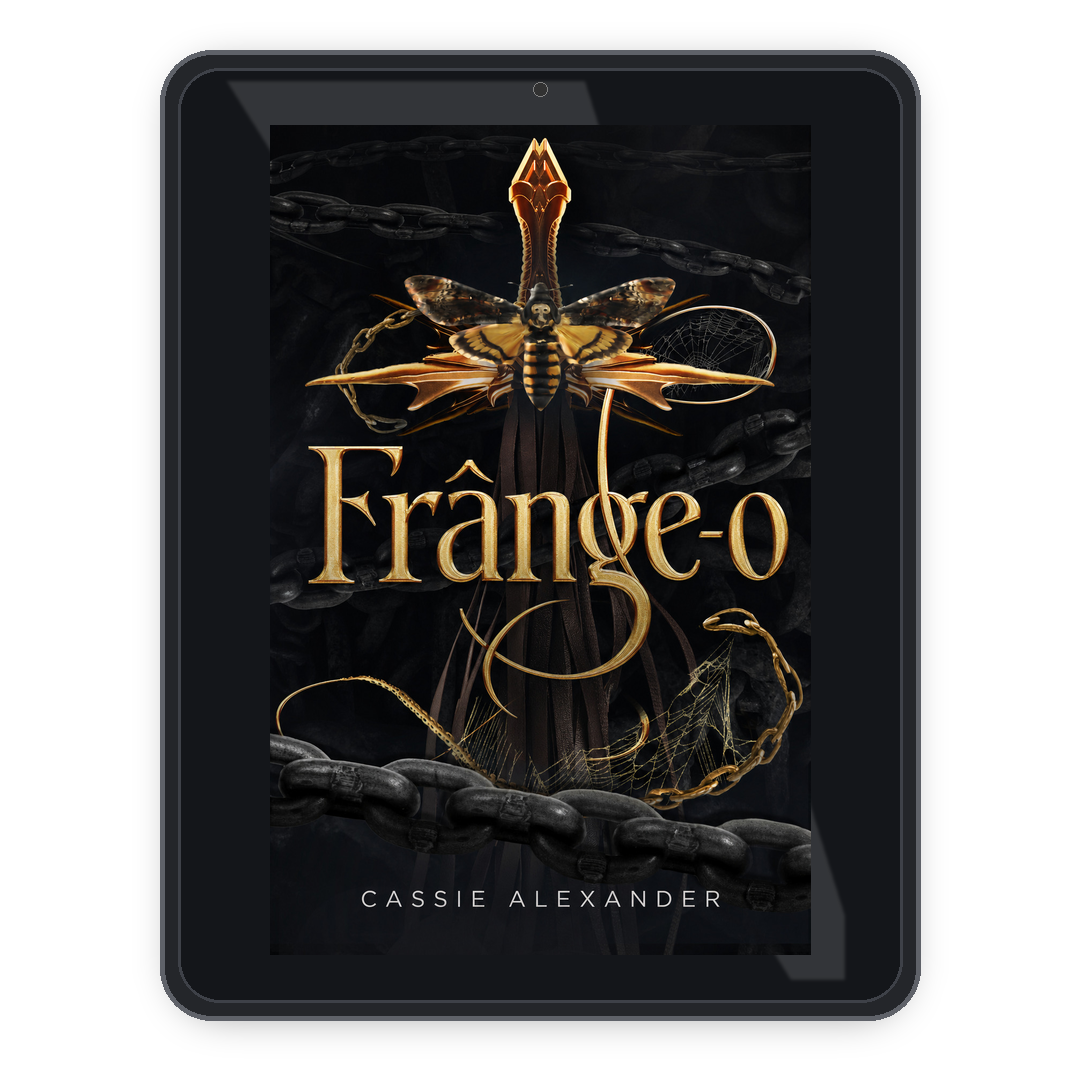 Break Her ro ebook mockup